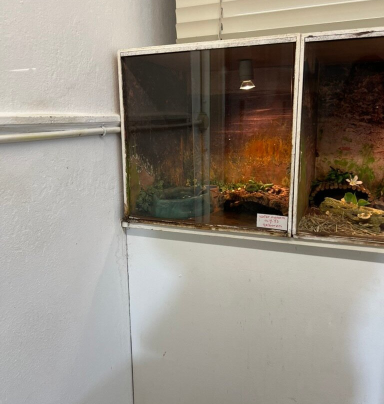 Iguana Reptile Zoo-Zeeland Province必去景点