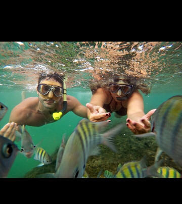 Porto Adventure-嘎林海斯港必去景点