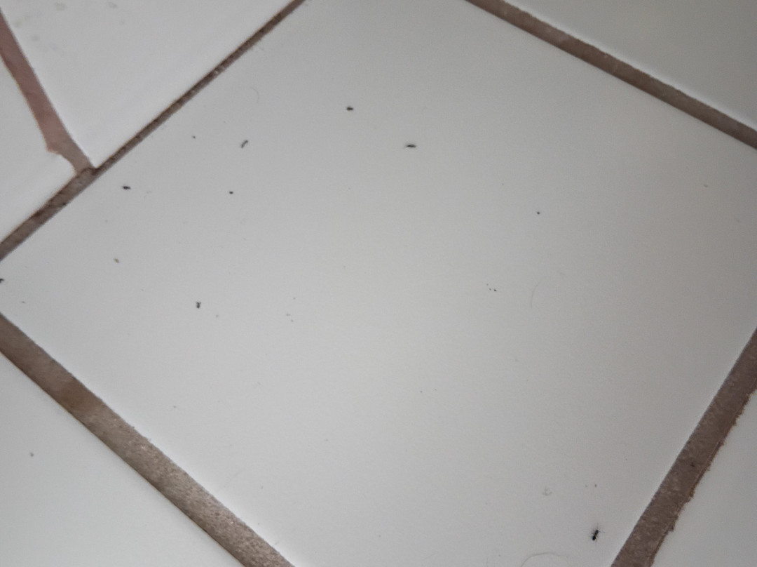 Super 8 by Wyndham Lees Summit主图