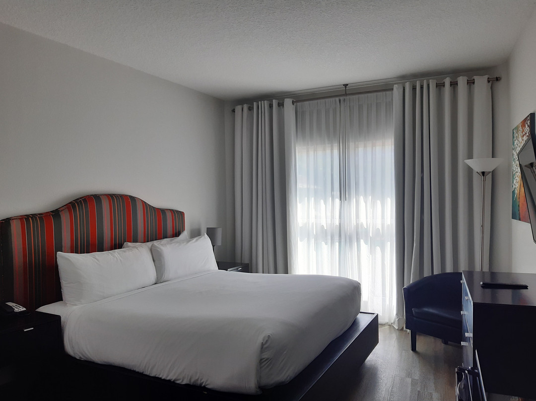 美利亚奥兰多庆典主图