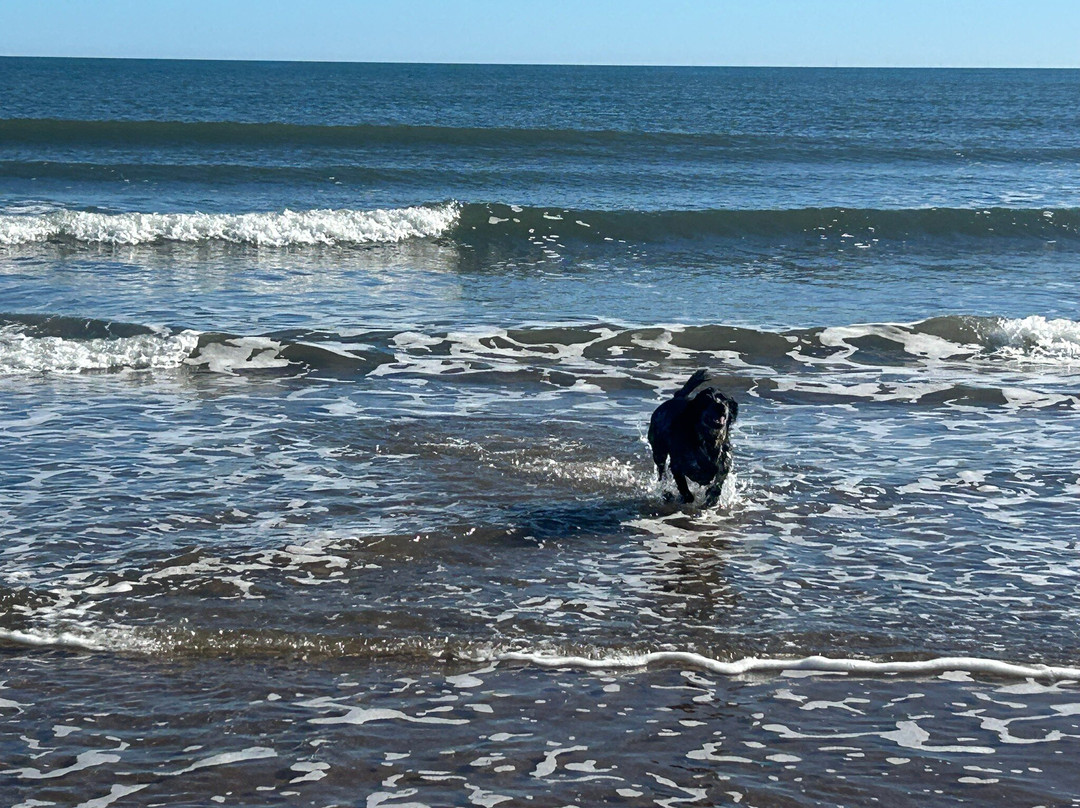 Tentsmuir Forest-Tayport必去景点