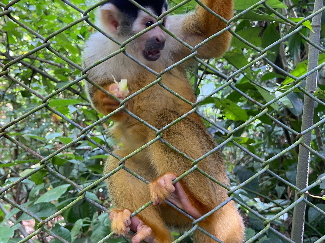 Natuwa Wildlife Santuary景点图片