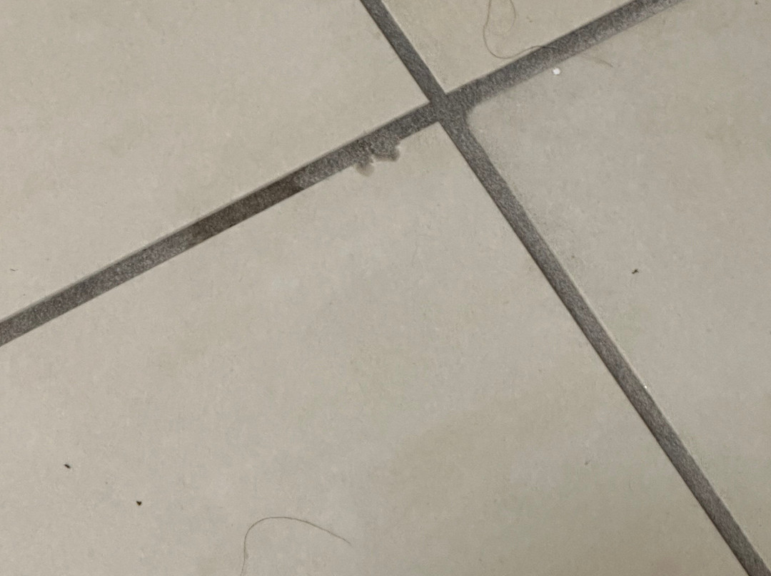 Wingate By Wyndham Fletcher At Asheville Airport主图