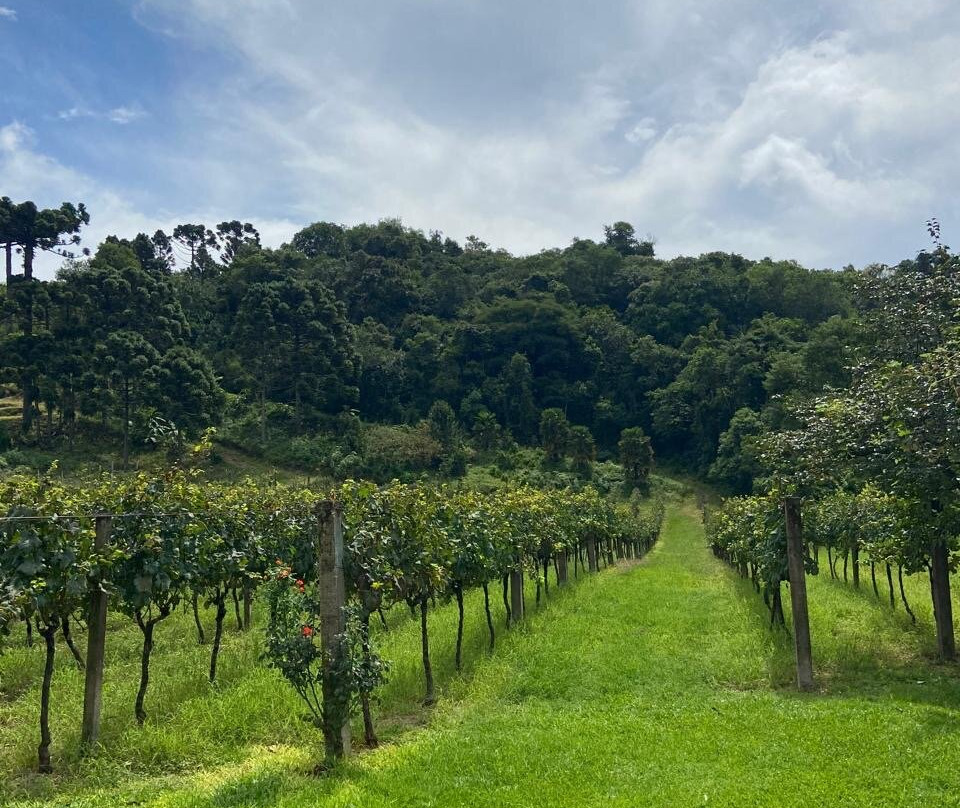 Casa Fantin-Monte Belo do Sul必去景点