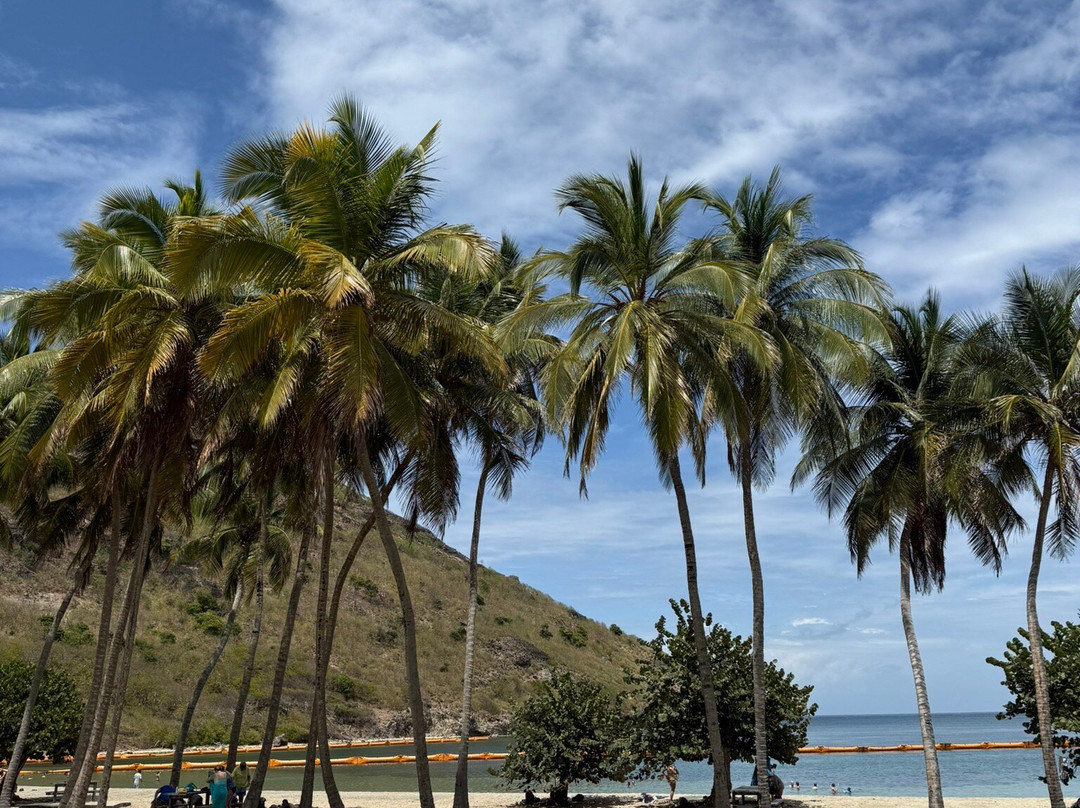 Plage de Pompierre景点图片