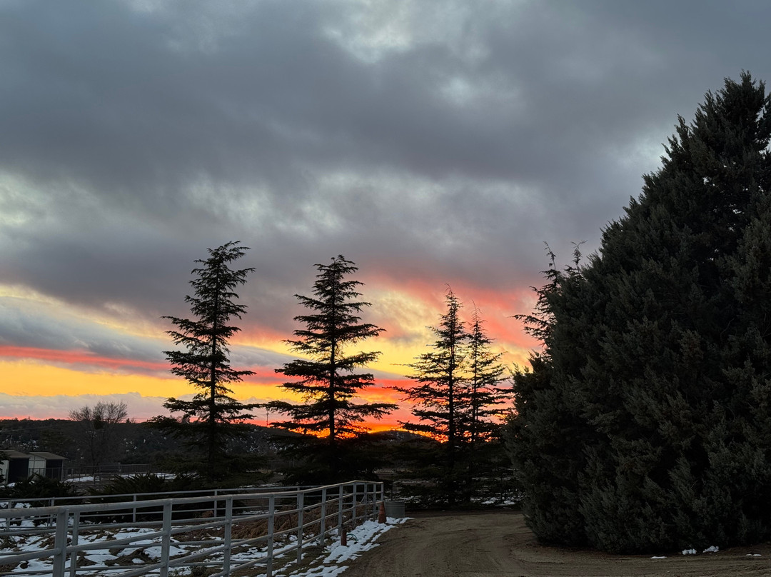 Bookshelf Winery And Venue-Anza必去景点