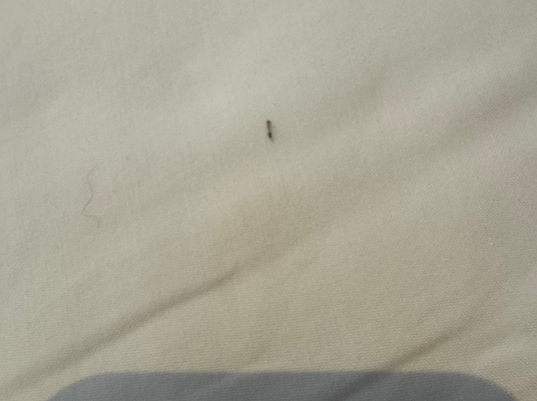 Regenta Place Phagwara主图