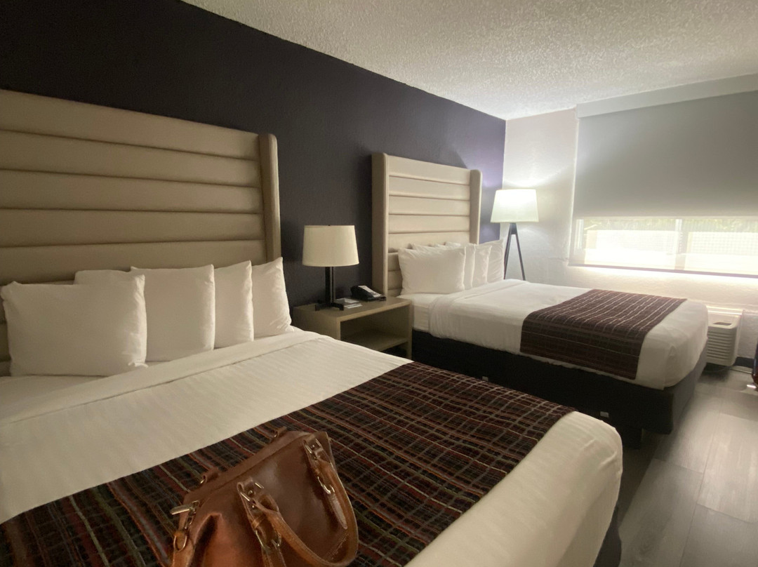 迈阿密肯达尔江山旅馆&套房酒店主图