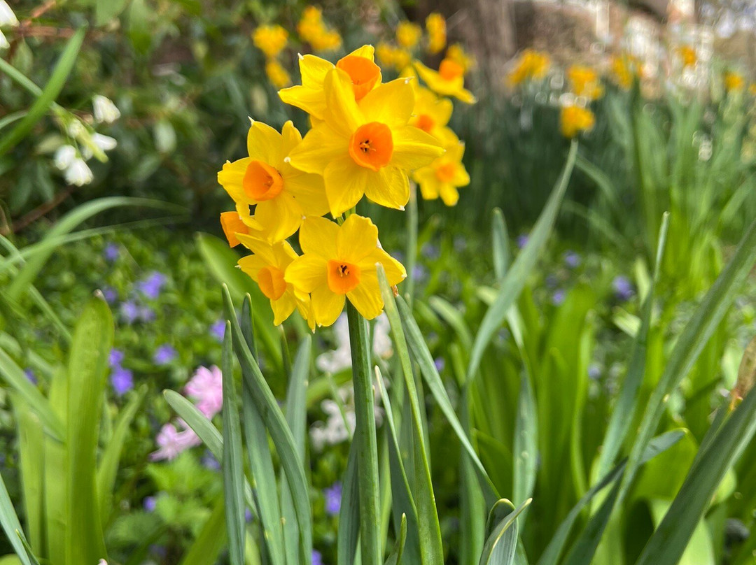 Abbeywood Gardens-Delamere必去景点