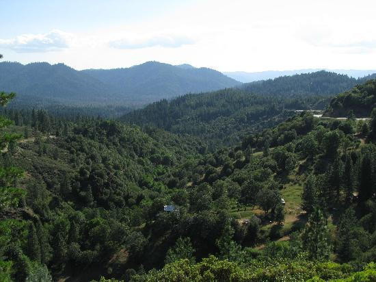 Humboldt Gables Motel主图