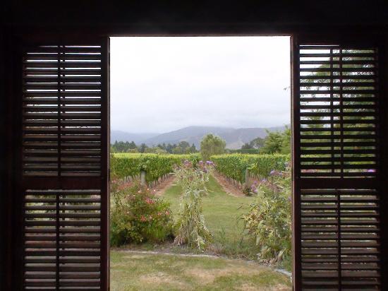 Blue Ridge Estate-酒店景观