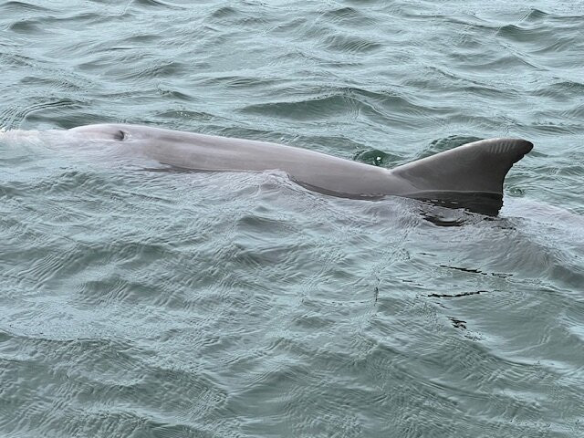 Whyalla Marina-Whyalla必去景点