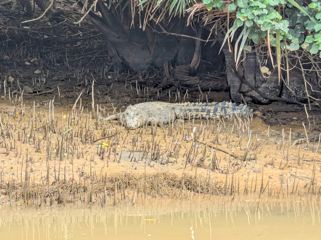 Kuantan River Cruise-关丹必去景点