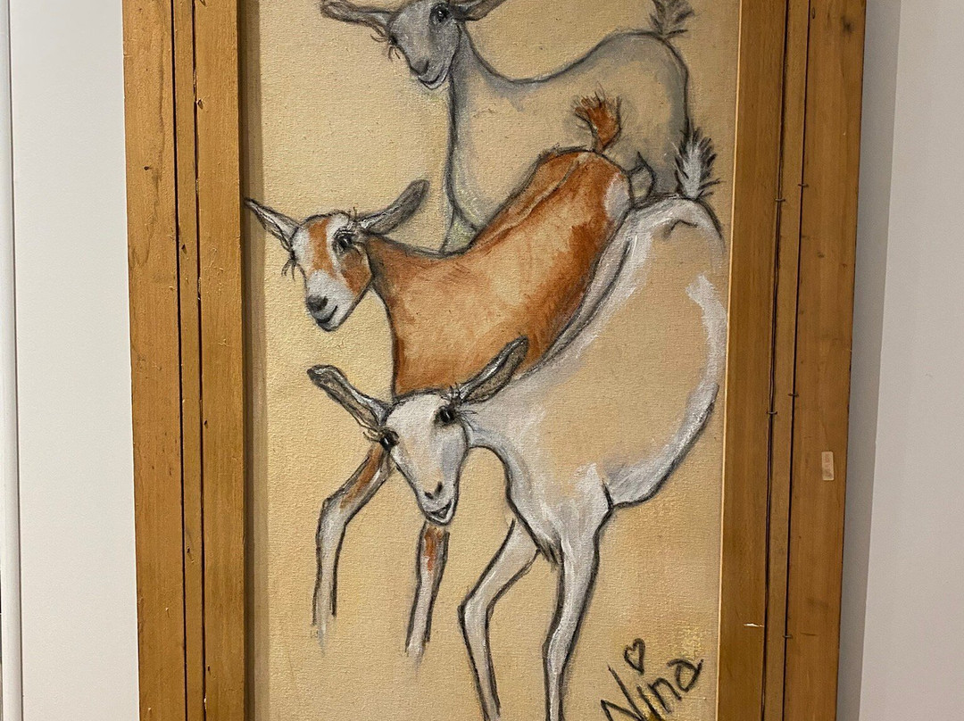 Orbost Arts Centre-Orbost必去景点