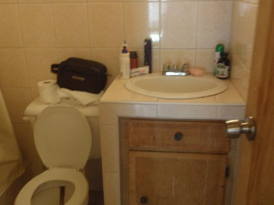 Palm Tree Guest House主图