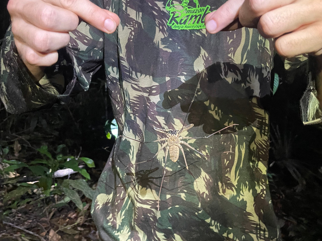 Amazon Rambo Jungle Tours-玛瑙斯必去景点