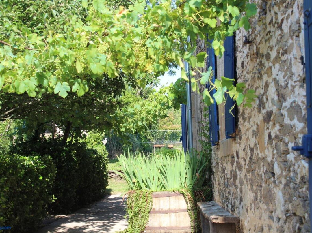 La Maison Cayre
