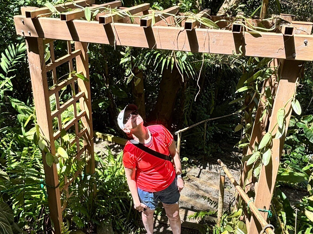 Phantasea Tropical Botanical Garden-圣 托马斯必去景点