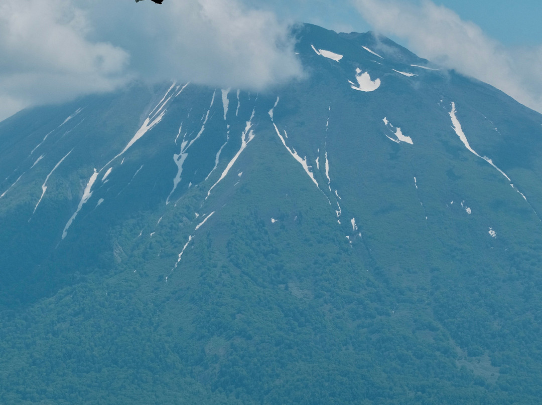 Hanazono Adventure Park-俱知安町必去景点