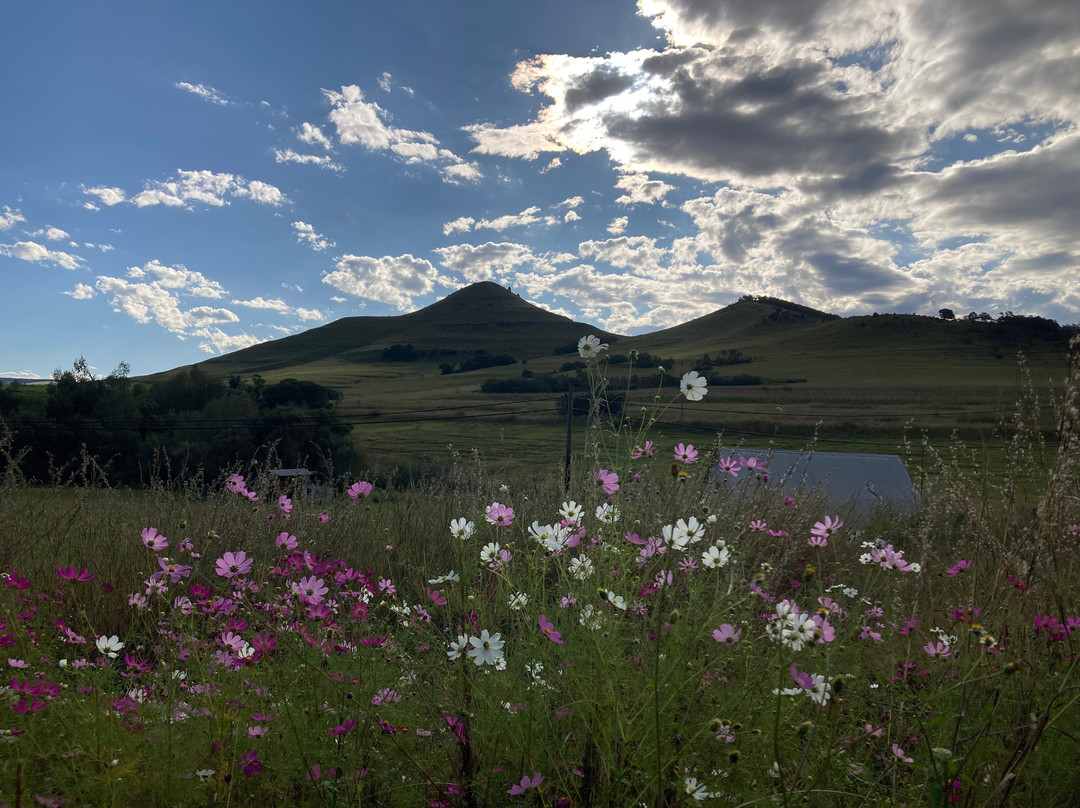 Stoneybrook Ranch Bed and Breakfast主图