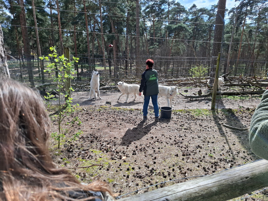 Wildpark Johannismühle-Baruth必去景点