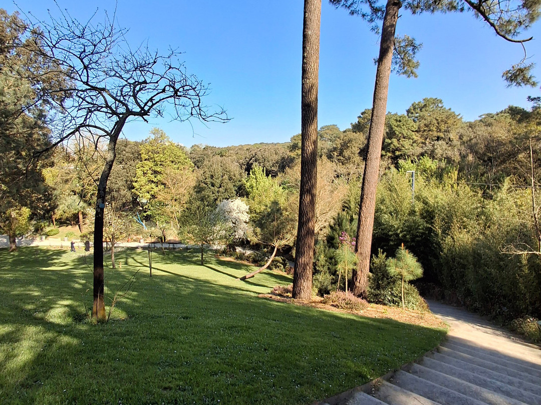 Parc des Dryades景点图片