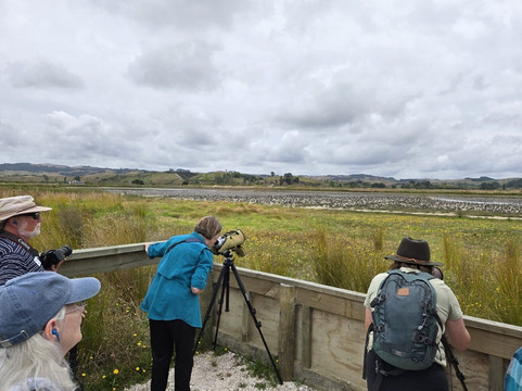 Auckland & Beyond Tours-奥克兰中心地区必去景点