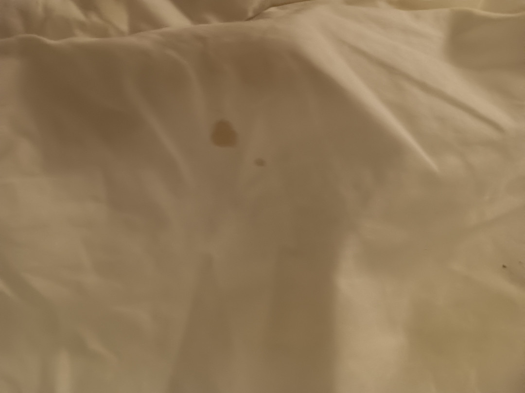 索非亚酒店主图