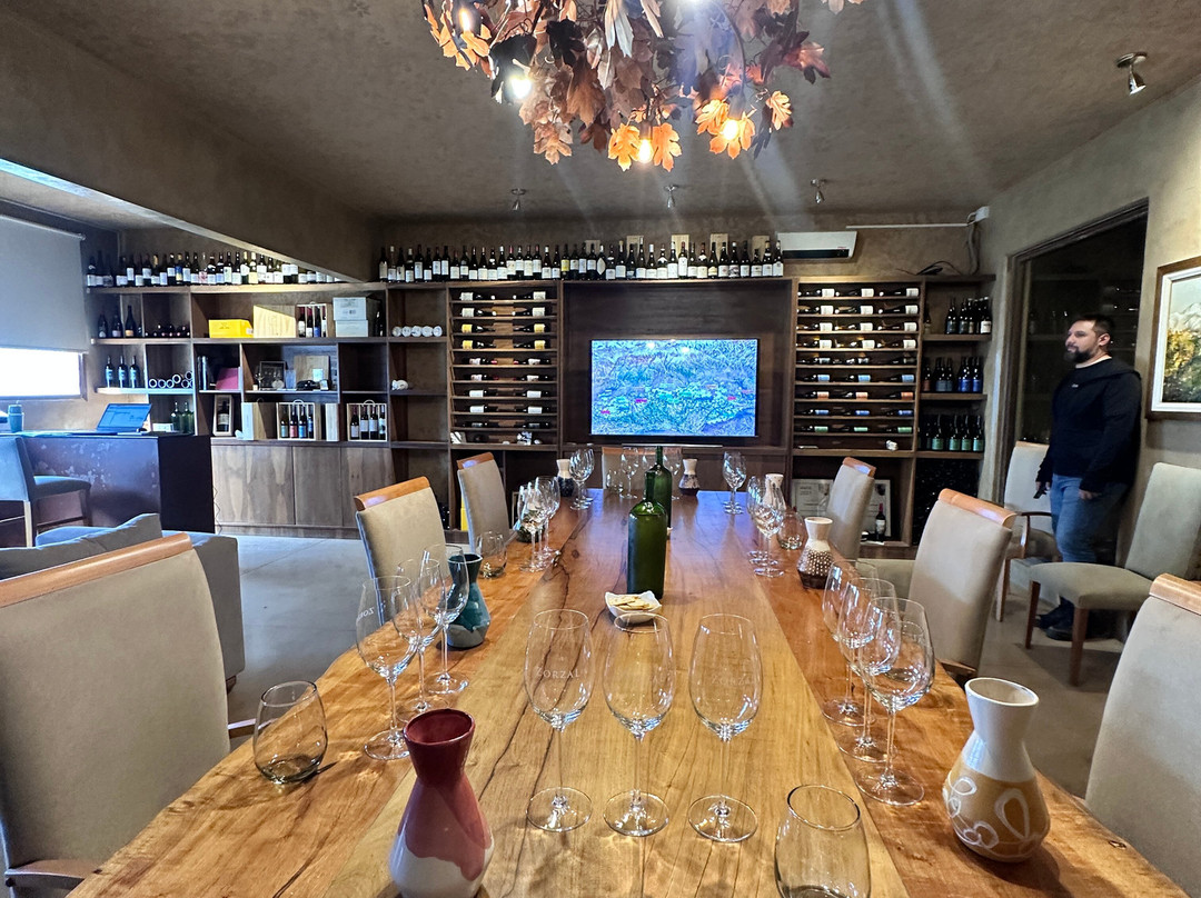 Zorzal Wines-Tupungato必去景点