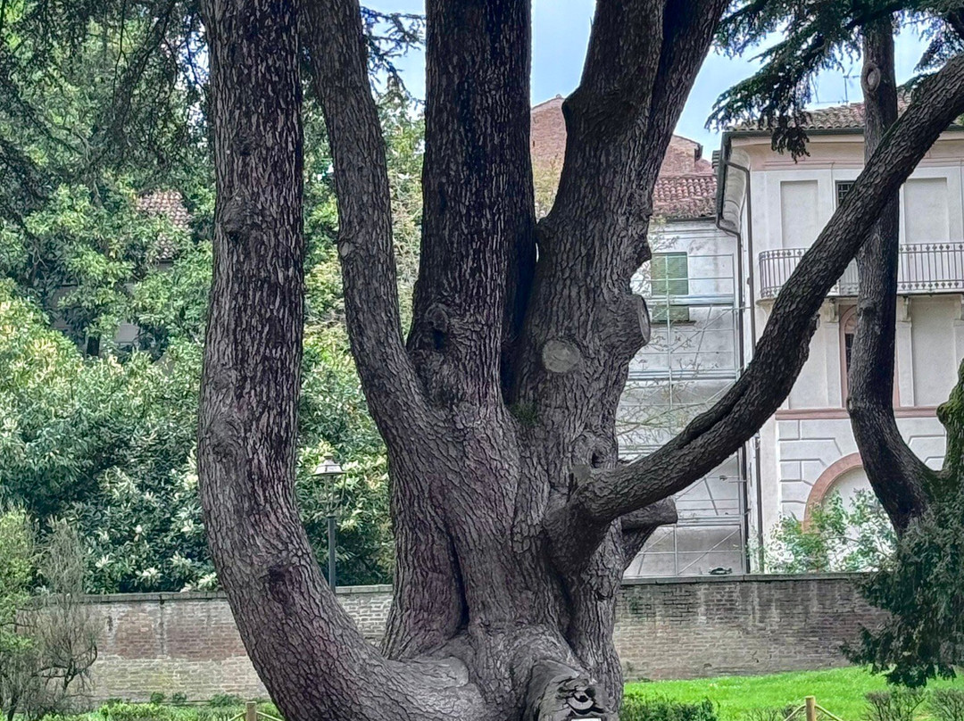 Parco Massari景点图片