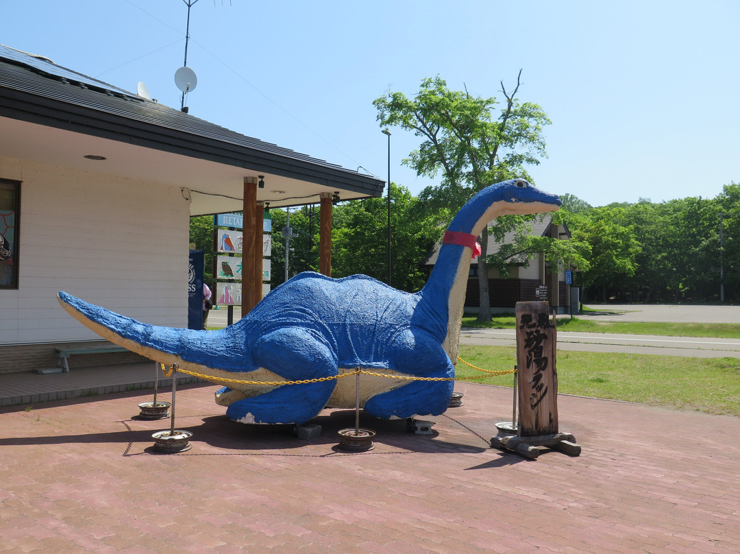 屈斜路湖砂湯-弟子屈町必去景点