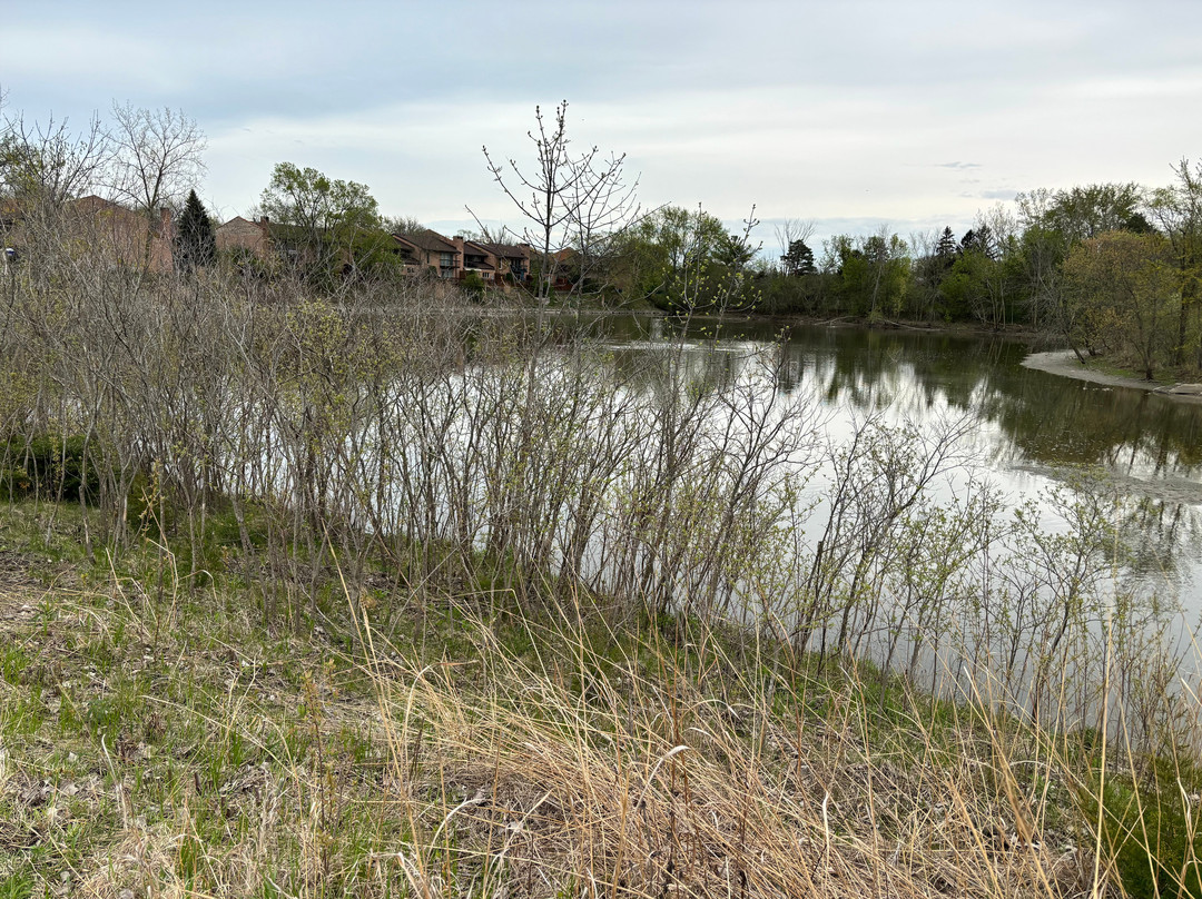 Techny Basin Conservation Area-格伦维尤必去景点