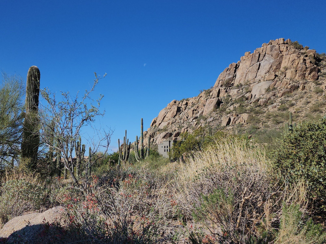 Pinnacle Peak Park-斯科茨代尔必去景点
