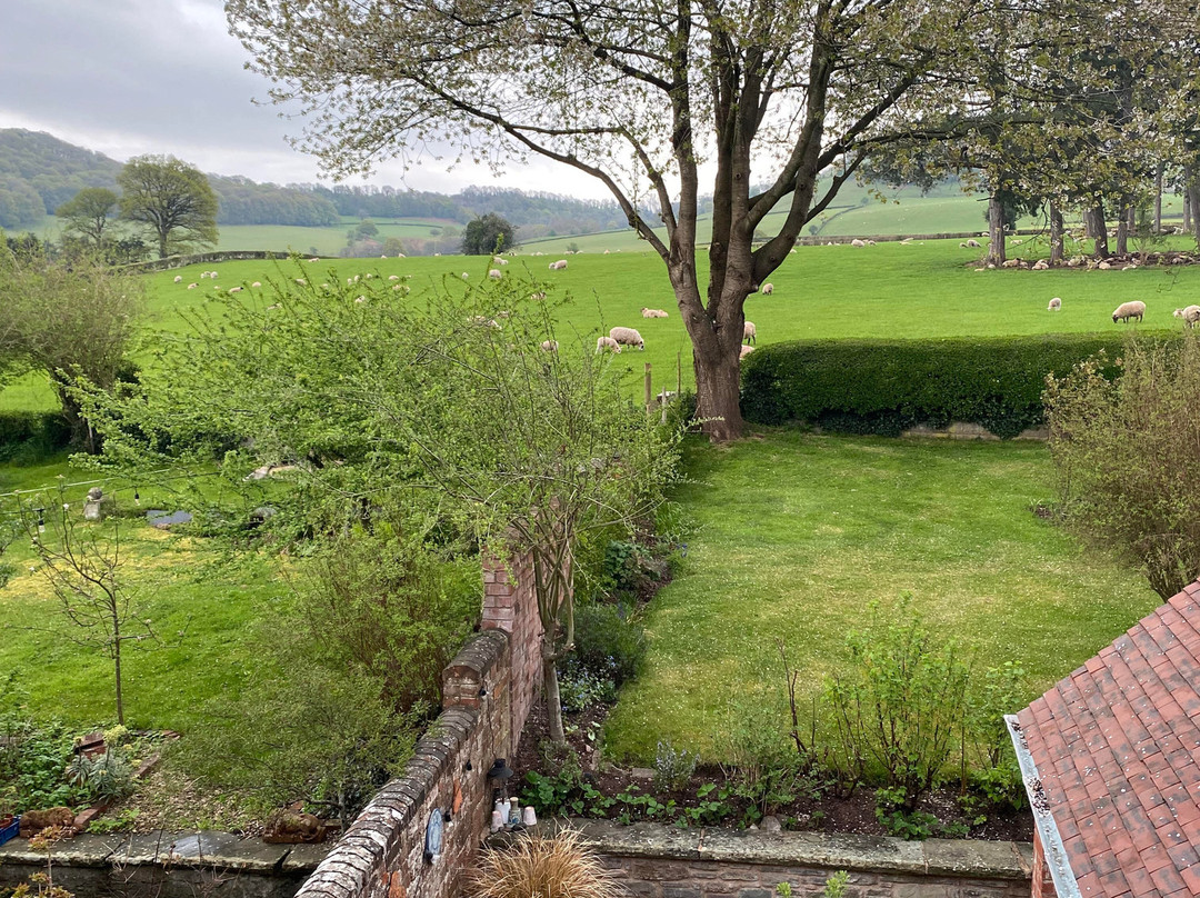 Elmsleigh Hay-on-wye B&b主图