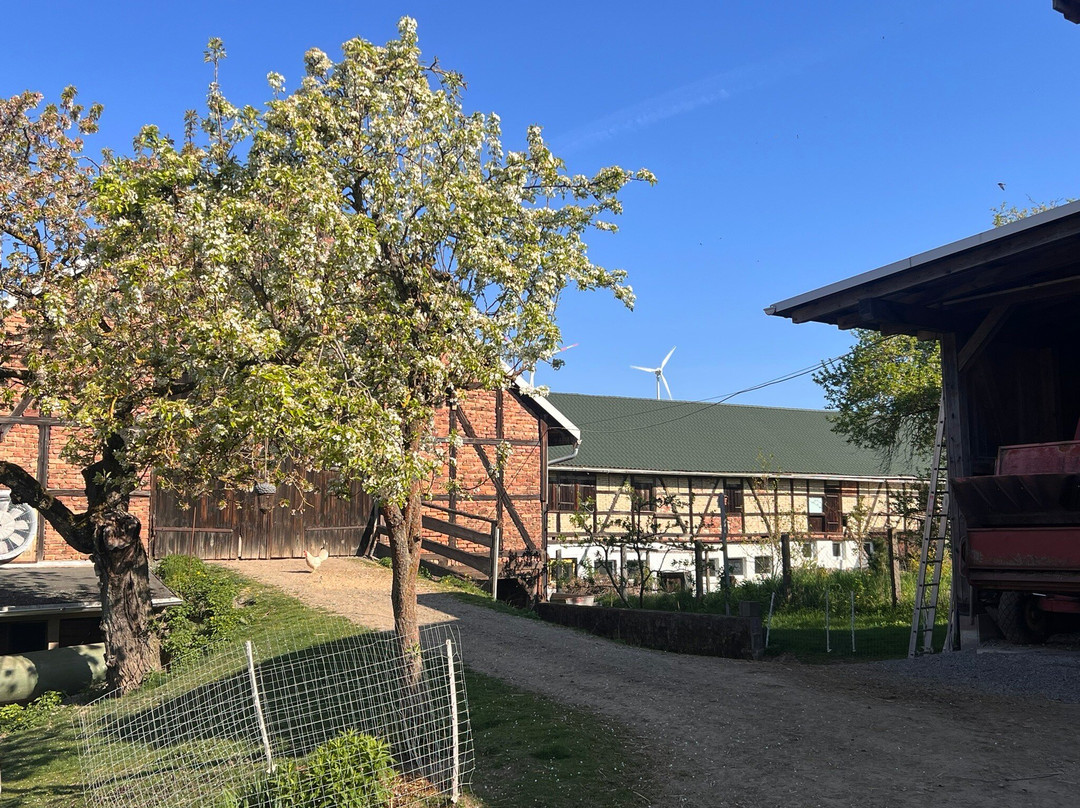 Pension Oder