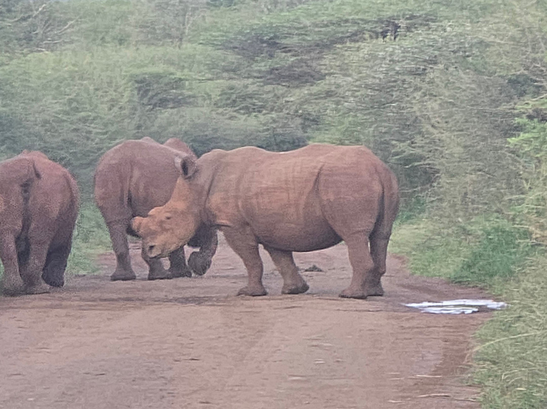 Tiger Hunters Tours & Safaris - Day Adventures-彭哥拉必去景点