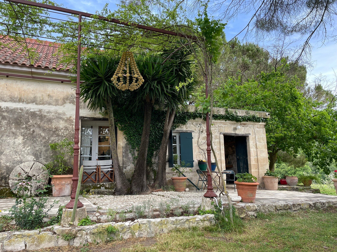 Haritatos Vineyard-Lixouri必去景点