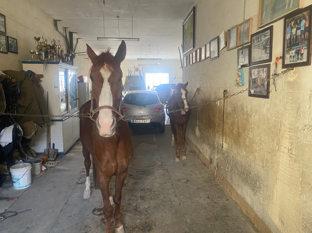 Lino's Stables-Xaghra必去景点