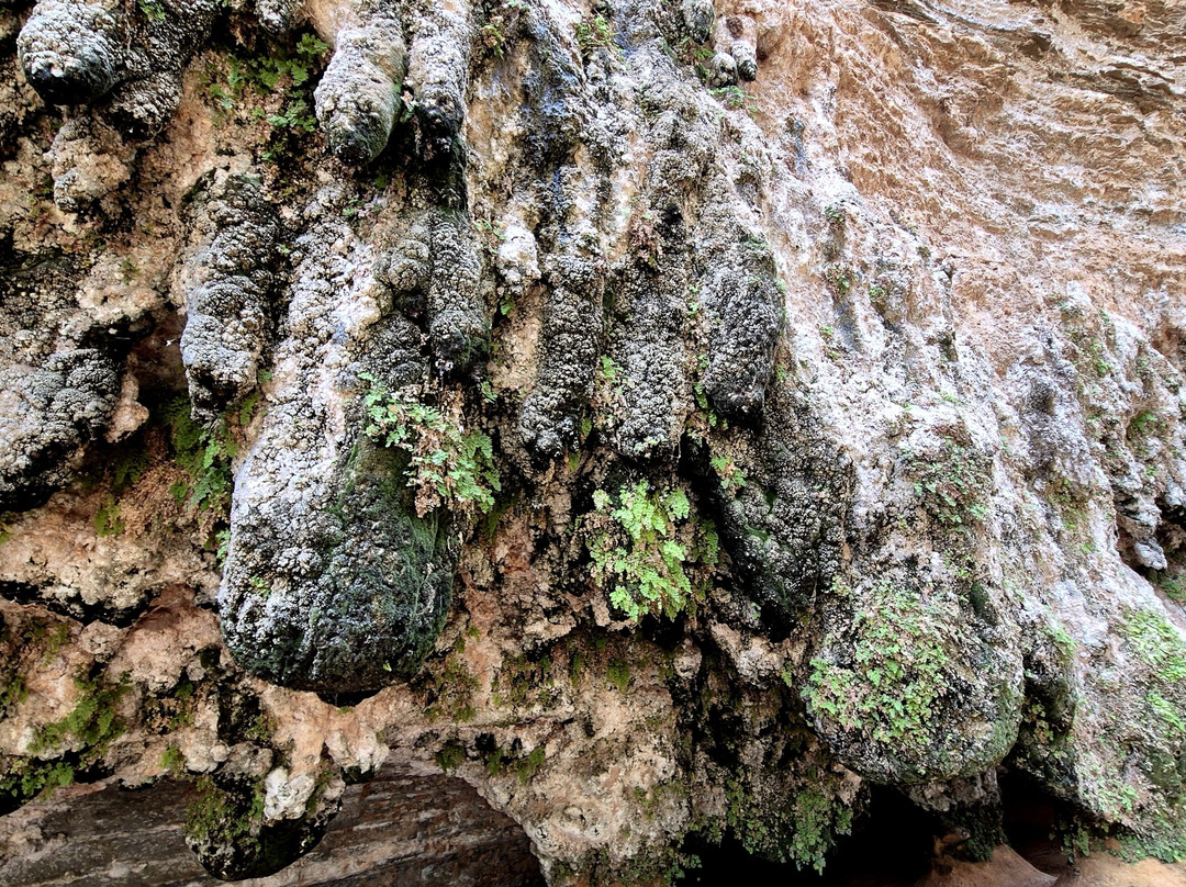 Terjit Oasis-Atar必去景点