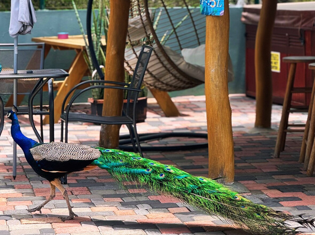 Casa la Felicidad主图