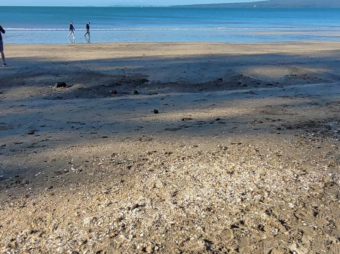 塔卡普纳海滩-奥克兰中心地区必去景点