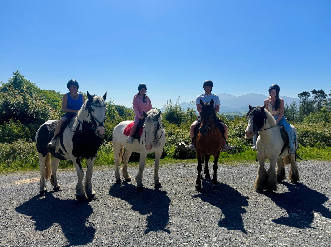 Mount Pleasant Pony Trekking and Horse Riding Centre-Castlewellan必去景点