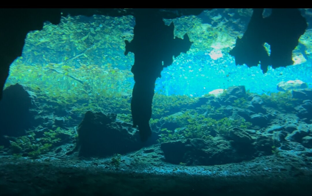 Blue Experience Diving-艾库玛尔必去景点