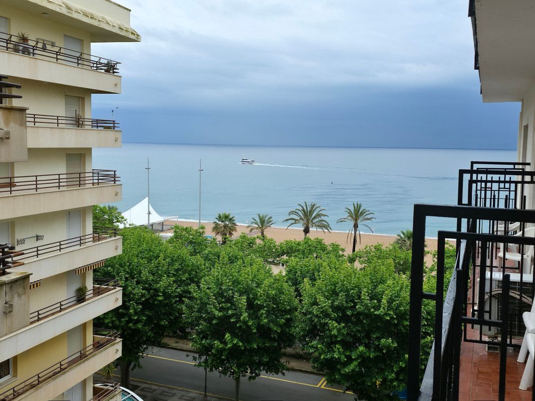 哈罗玛酒店主图