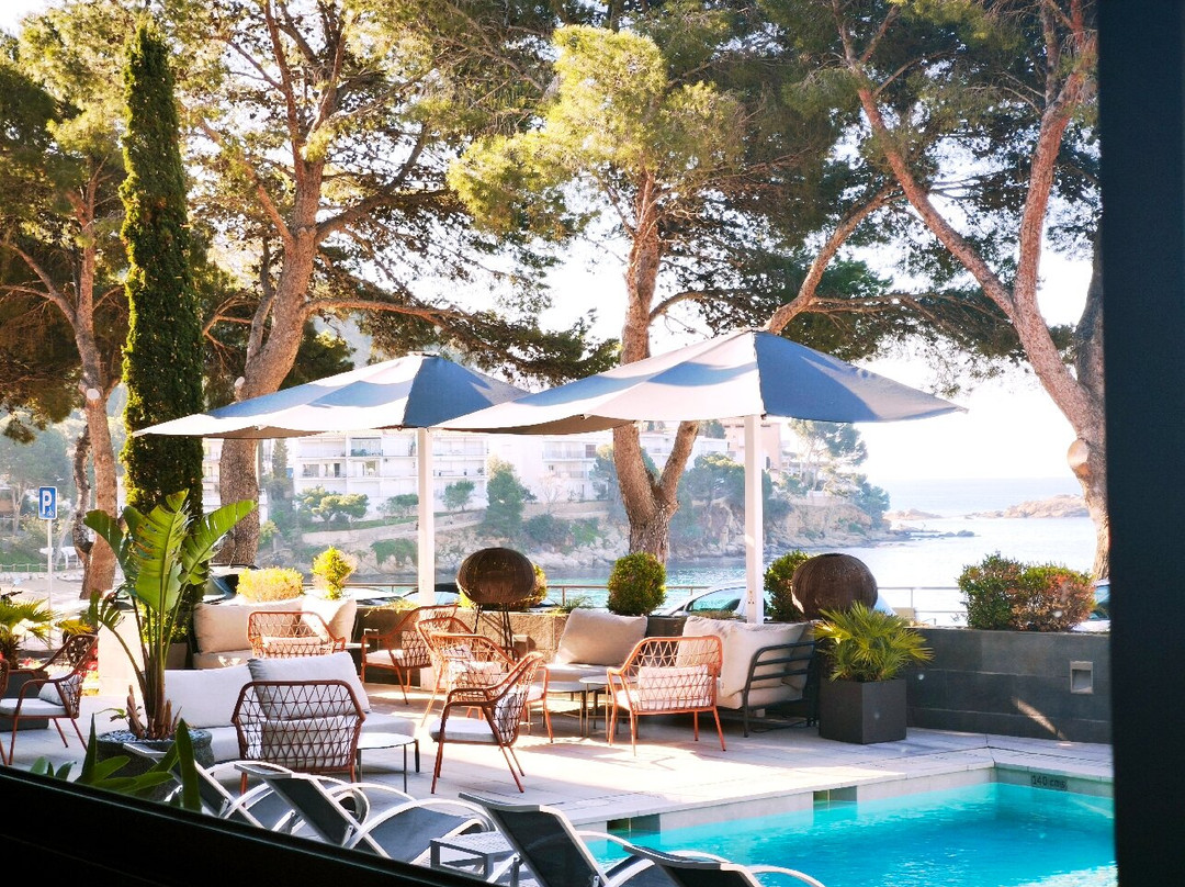 Hotel Canyelles Platja主图