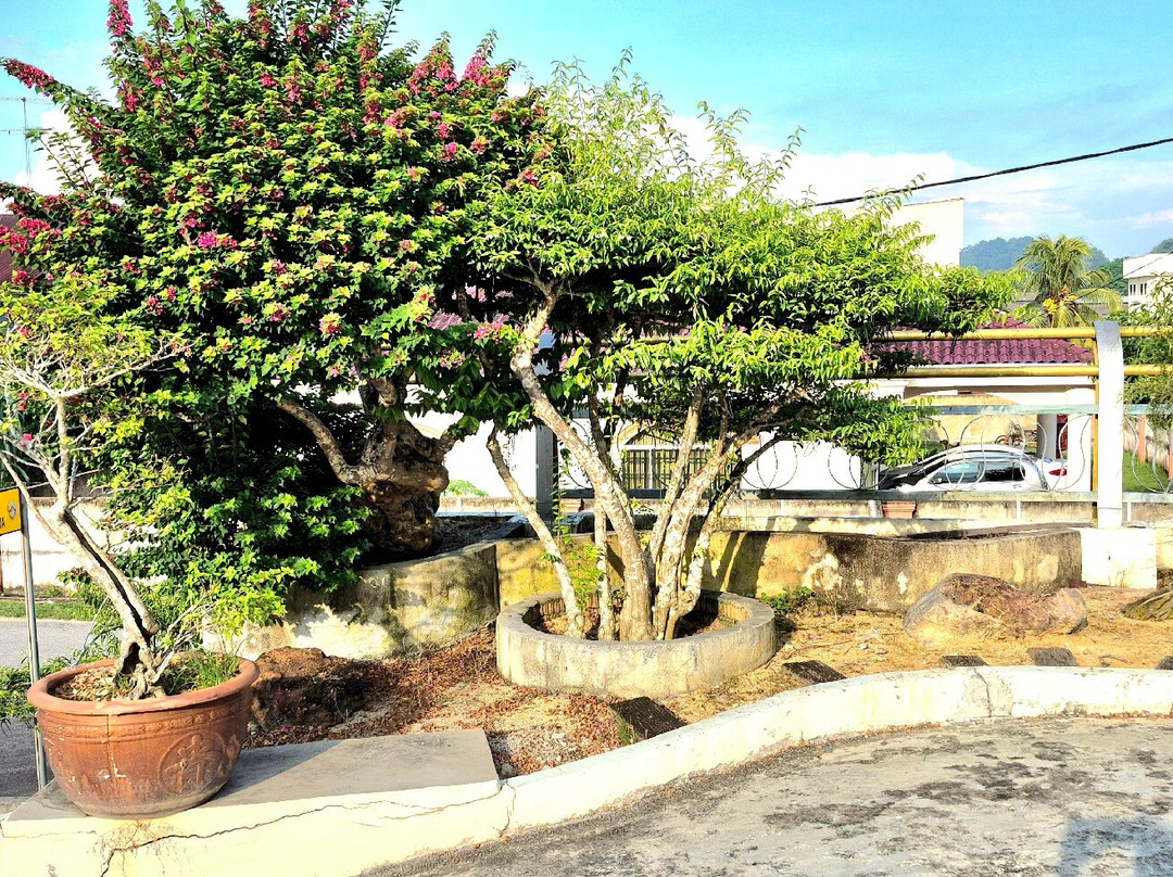 Bonsai Homestay Kluang主图