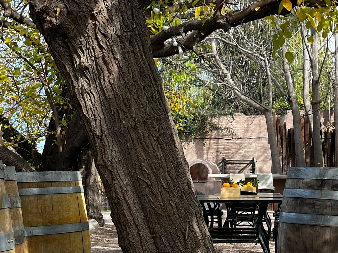 Bodega Lagarde-路冉得库约必去景点