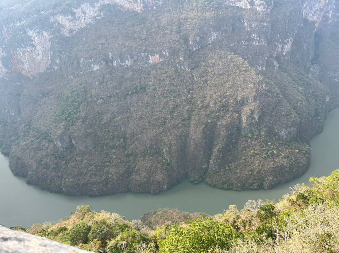 City Express Junior Tuxtla Gutierrez Poliforum主图