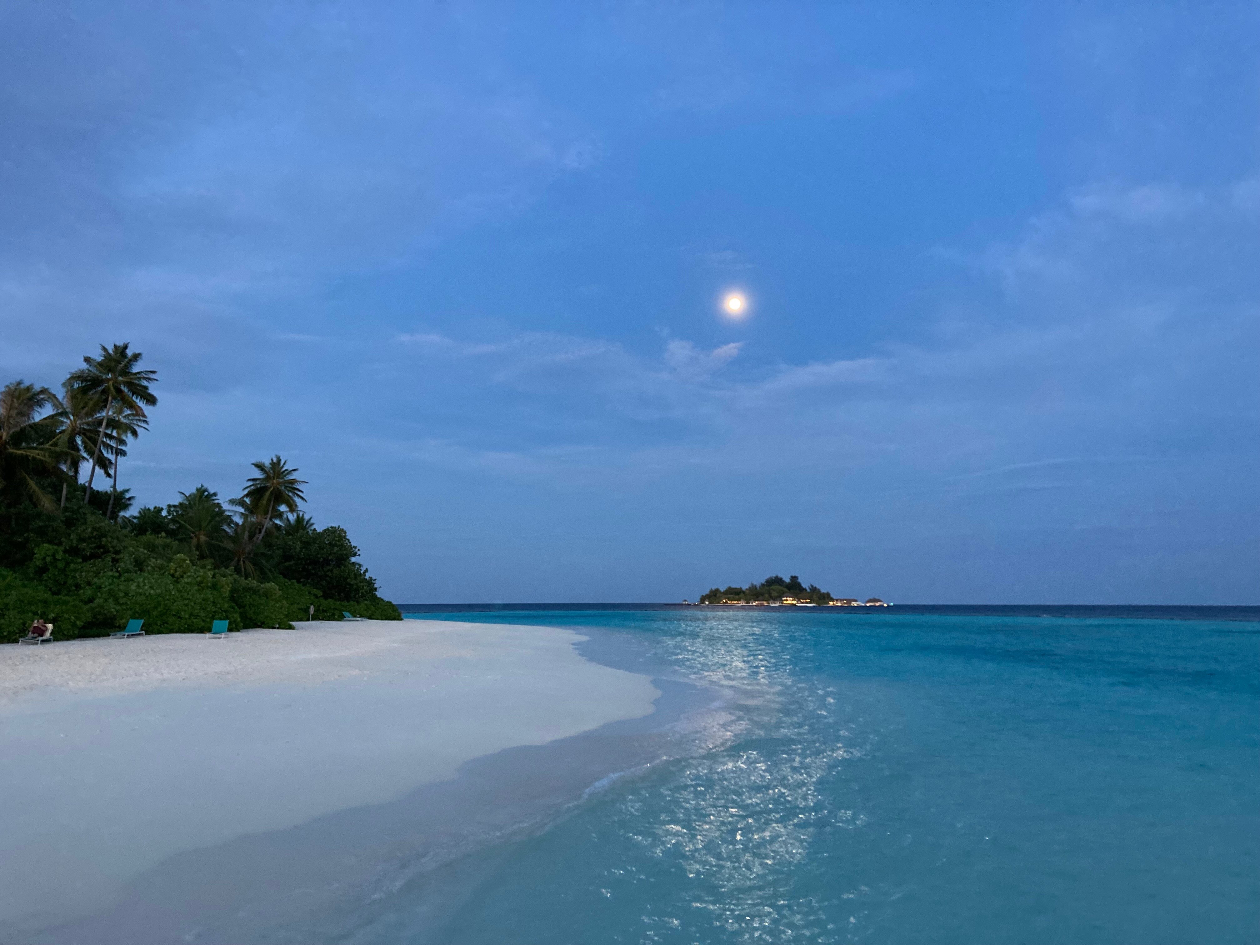 Nova Maldives-泳池