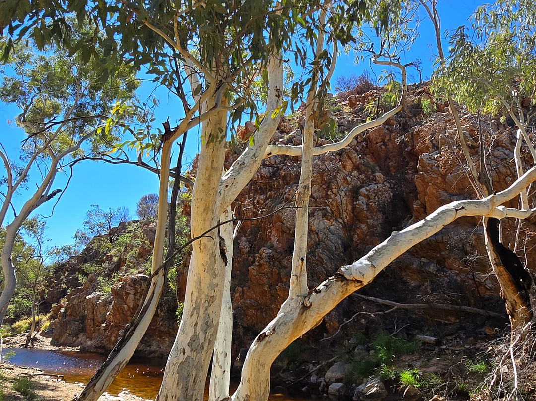 Larapinta Trail Trek Support-爱丽斯泉必去景点